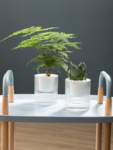 Load image into Gallery viewer, Self-absorbent succulent flower pot
