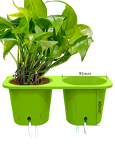 Load image into Gallery viewer, Indoor Lazy Plant Wall Flower Pot Wall Mount Set
