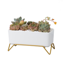 Load image into Gallery viewer, Huaxiaju Simple Nordic Creative Rectangular Succulent Flower Pot
