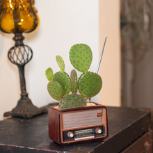 Load image into Gallery viewer, Creative Retro Radio Shape Ornament Flower Pot
