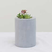 Load image into Gallery viewer, Hedgehog House Resin Succulent Flower Pot Creative Micro Landscape Pot
