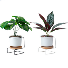 Load image into Gallery viewer, Geometric ceramic green plant pot
