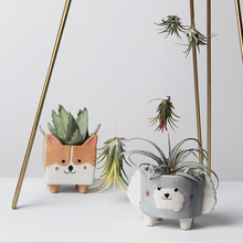 Load image into Gallery viewer, Personality succulent ceramic flowerpot
