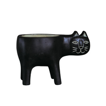 Load image into Gallery viewer, Cartoon Cat Shaped Gardening Green Planting Pots Home Crafts
