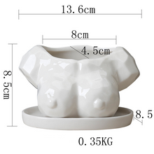 Load image into Gallery viewer, Cartoon Succulent Flower Pot Ceramic White Creative Abstract Body Art Floral
