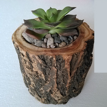 Load image into Gallery viewer, Creative Desktop Wooden Crafts Solid Wood Flower Pot

