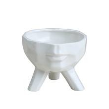 Load image into Gallery viewer, Simple And Creative White Succulent Flower Pot

