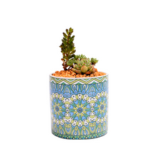 Load image into Gallery viewer, Mandala Succulent Potted Nordic Color Pot
