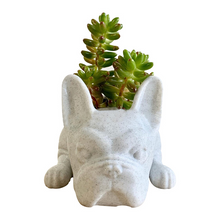 Load image into Gallery viewer, Resin Crafts Flower Pots Gardening Ornaments
