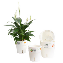 Load image into Gallery viewer, Water storage plastic flower pot
