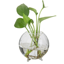 Load image into Gallery viewer, Hanging Utensils Hanging Wall Glass Flower Pots
