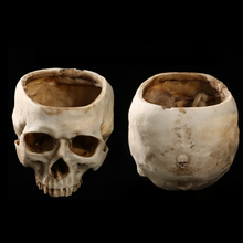 Load image into Gallery viewer, Resin Skull Flower Pot Ashtray Resin Skull Ornament Flower Pot
