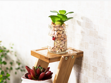 Load image into Gallery viewer, Solid Wood Succulent Living Room Flower Stand
