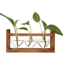 Load image into Gallery viewer, Creative Heart-shaped Hydroponic Vase Glass Wood Flower
