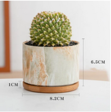 Load image into Gallery viewer, Straight Round Marble Ceramic Succulent Flower Pot
