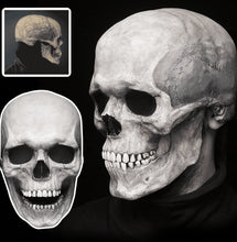 Load image into Gallery viewer, Mask Movable Skull Halloween Dinosaur Skull
