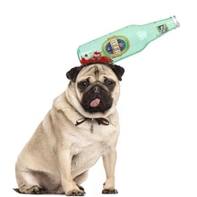Load image into Gallery viewer, Pet Dog Cats Headdresses Halloween Pet Cat Headgear

