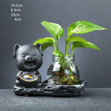Load image into Gallery viewer, Glass Transparent Water Cultivation Green Dish Ware Flower Pot
