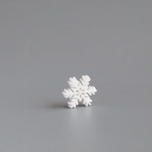 Load image into Gallery viewer, Moss Micro Landscape Succulent Creative Decorations
