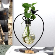 Load image into Gallery viewer, Hydroponic Plant Vessel Indoor Green Plants Glass Planter Pot with Steel Stand
