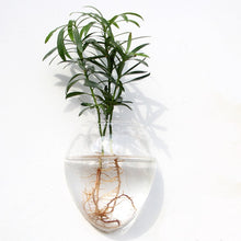 Load image into Gallery viewer, Fashion Wall Hanging Glass Flower Vase Terrarium Wall Fish Tank Aquarium Container Flower Planter Pots Home Garden Decoration
