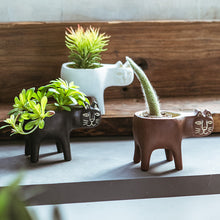 Load image into Gallery viewer, Cartoon Cat Shaped Gardening Green Planting Pots Home Crafts
