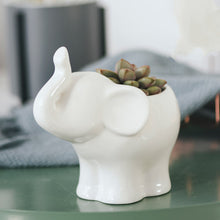 Load image into Gallery viewer, Succulent ceramic flowerpot

