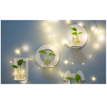 Load image into Gallery viewer, Creative Wall Hanging Wall Hydroponic Vase Hanging Transparent Flower Pot
