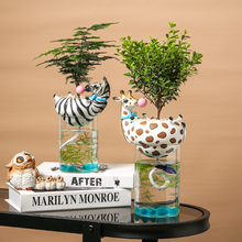 Load image into Gallery viewer, Succulent Automatic Water-absorbing Flowerpot Lazy Decoration
