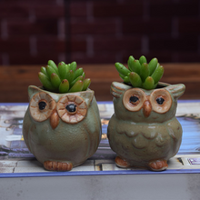Load image into Gallery viewer, Owl Shape Garden Flower Pot Desk Plant Pot Creative Design

