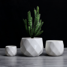 Load image into Gallery viewer, Desktop ceramic flowerpot
