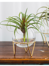 Load image into Gallery viewer, Glass flower pot
