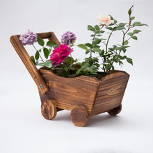 Load image into Gallery viewer, Succulent Flower Pot
