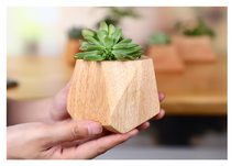 Load image into Gallery viewer, Simple Wooden Flowerpot Creative Home Garden
