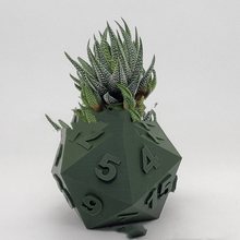 Load image into Gallery viewer, 3D Printed Plant Pot Table Top RPG Dice Succulent Planter Set Home Decoration Multifunction Garden Flower Pot

