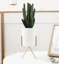 Load image into Gallery viewer, Flavor flower pot wrought iron vase simple iron frame
