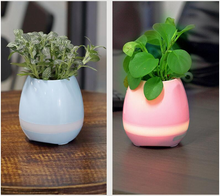 Load image into Gallery viewer, Music Flowerpot
