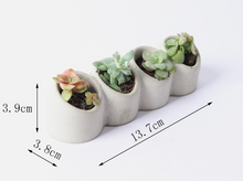 Load image into Gallery viewer, Four-hole flowerpot silicone mold
