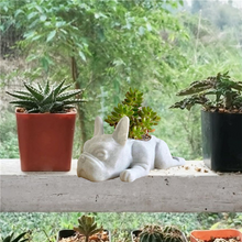 Load image into Gallery viewer, Resin Crafts Flower Pots Gardening Ornaments
