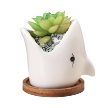 Load image into Gallery viewer, Succulent Pot Creative Cartoon Ceramic Flower Pots European-style Simple Indoor Desktop Pots For Plants Office Decor Planters
