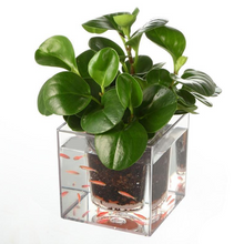Load image into Gallery viewer, Fish Tank Flowerpot
