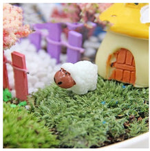 Load image into Gallery viewer, Moss Micro Landscape Succulent Creative Decorations

