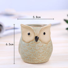 Load image into Gallery viewer, Owl Animal Thumb Flower Pot Personality Ceramic Craft Office Home Decoration
