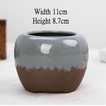 Load image into Gallery viewer, Succulent Flower Pot With Tray Ceramic Medium And Large
