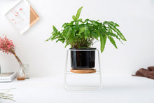 Load image into Gallery viewer, Trapezoidal wrought iron ceramic flower pot
