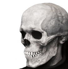 Load image into Gallery viewer, New Halloween Scary Skull With Movable Mouth And Glow
