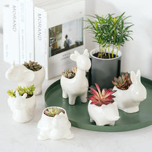 Load image into Gallery viewer, Succulent ceramic flowerpot

