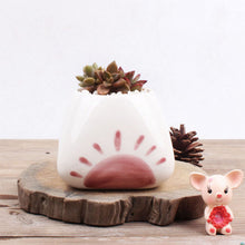 Load image into Gallery viewer, Creative Cute Succulent Flower Pot Handmade
