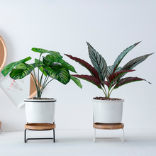 Load image into Gallery viewer, Geometric ceramic green plant pot
