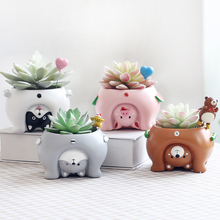 Load image into Gallery viewer, Come and see the world's succulent plant pots
